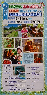 チラシ8月
