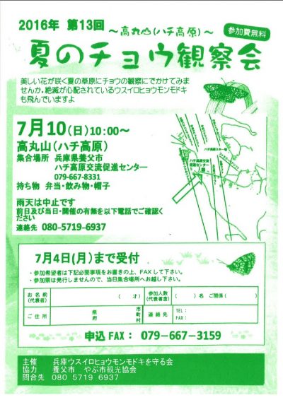 夏のチョウ観察会