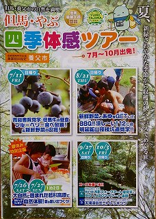 チラシ表