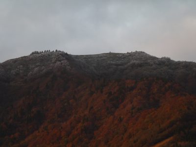 p1010823