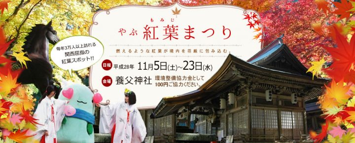 banner-2016momiji