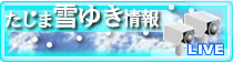 bu_yuki