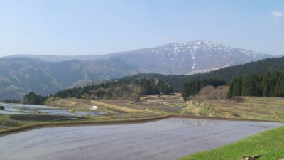 tanada1