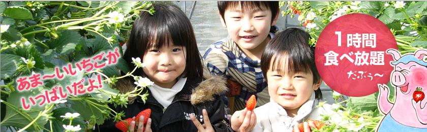 top-image02