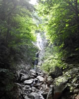 布滝