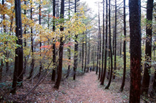 高坪山避難小屋