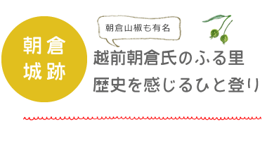 天滝：ゴールの先には日本の滝100選が!!