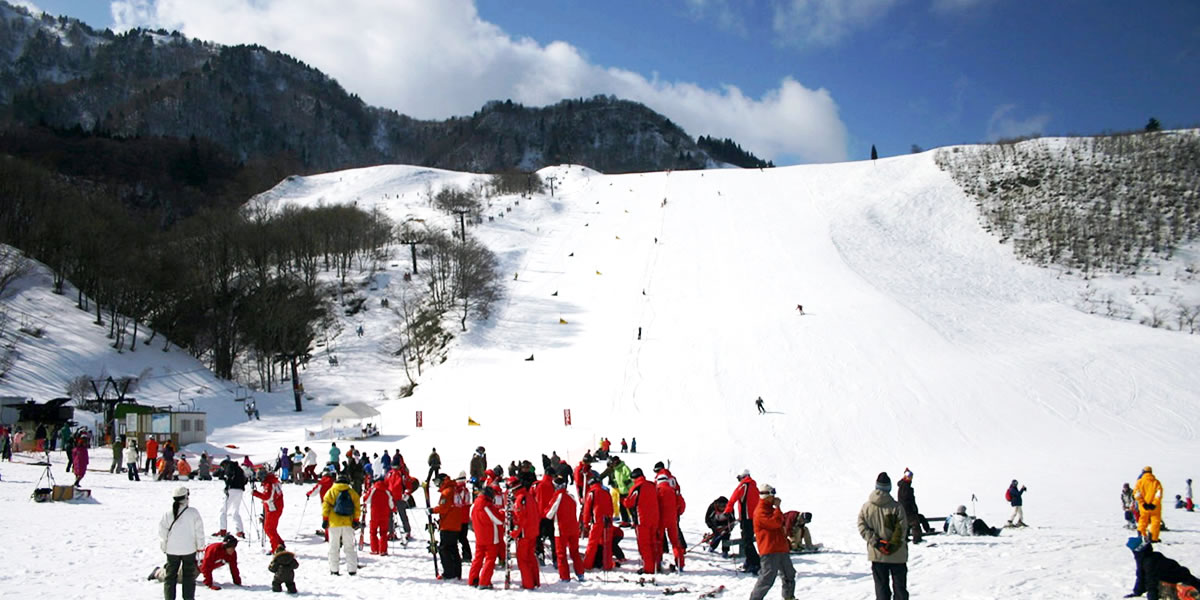 国際 天気 場 氷ノ山 スキー