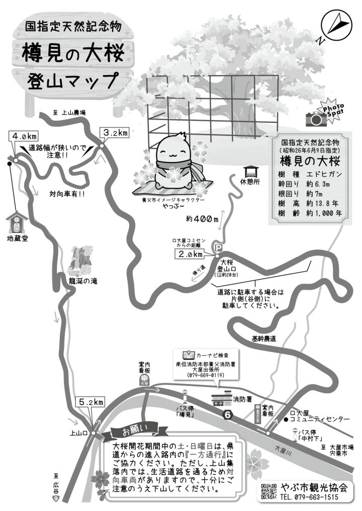 樽見の大桜登山マップ