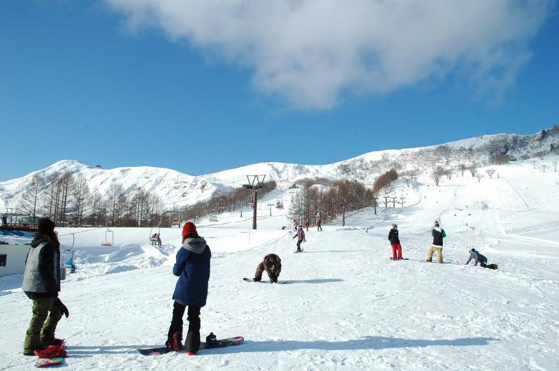 ハチ 北 高原 スキー 場