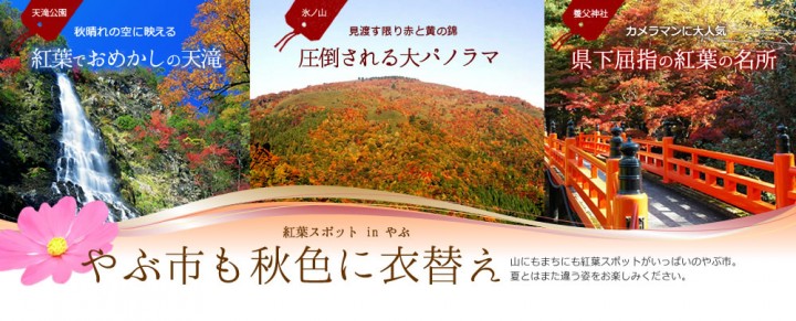 autumn-spot2