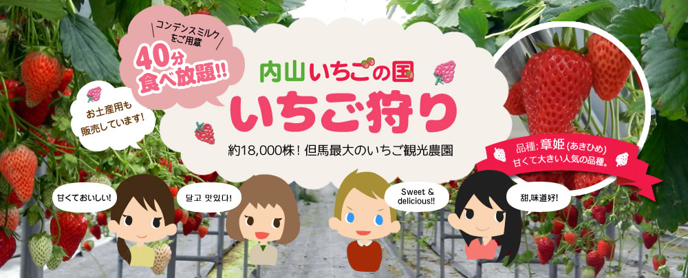 内山いちごの国　いちご狩り
