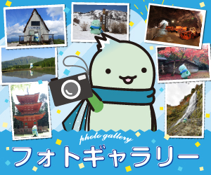 フォトギャラリー