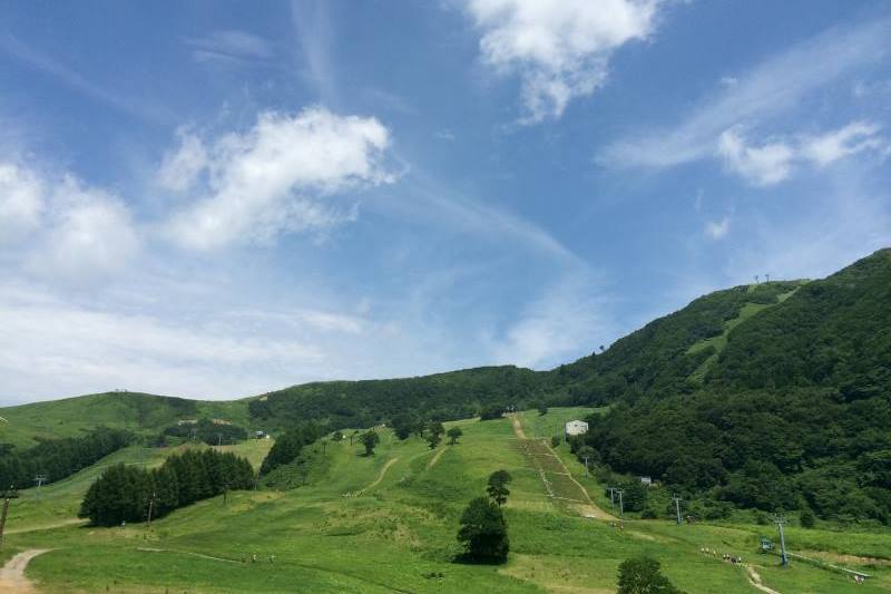 ハチ 高原 かね いちや