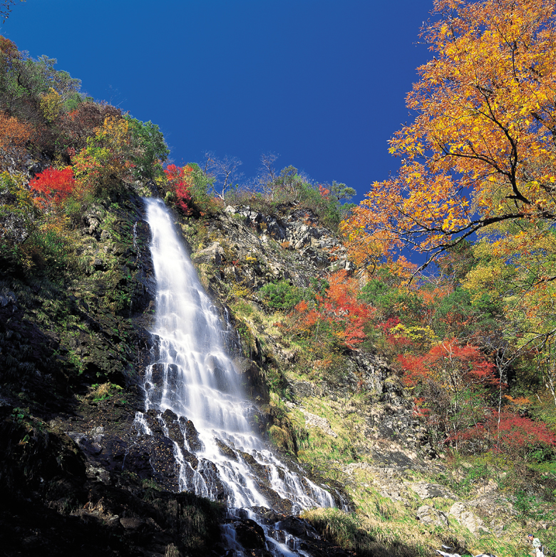 天滝 てんだき やぶ市観光協会